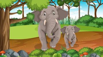 Elephant mom and baby in forest or rainforest scene with many trees vector