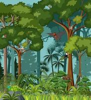 Tropical rainforest scene with various wild animals vector