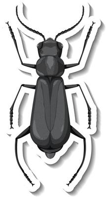 A sticker template with top view of a grasshopper isolated