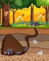 Underground animal burrow with mole family vector