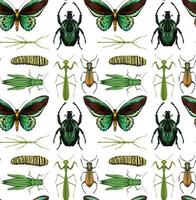 Seamless pattern with many insects on white background vector