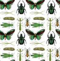 Seamless pattern with many insects on white background vector