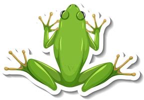 A sticker template with top view of green frog isolated vector