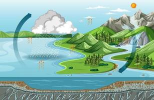 Water cycle diagram Evaporation with nature landscape scene vector