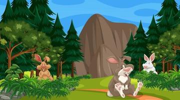 Many rabbits in forest scene with many trees vector