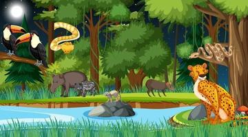 Forest at night scene with different wild animals vector