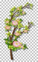 Branch of pink flower vector