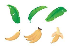 banana cartoon with leaf of banana vector