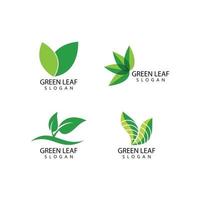 Green leaf logo vector