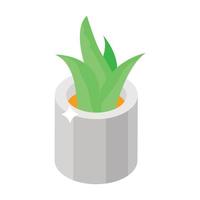 conceptos de aloe vera vector