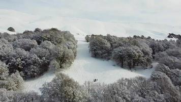 montagnes de neige et arbres video