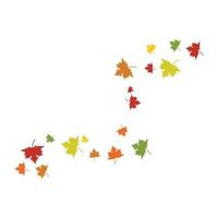 Autumn leaves maple vector