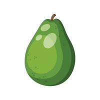 fruta de aguacate, ilustración vectorial vector