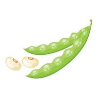 beans, vector illustration