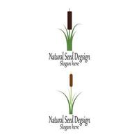 Reeds icon vector design template and symbol