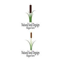 Reeds icon vector design template and symbol