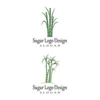 caña de azúcar, logotipo, plantilla, vector, símbolo, naturaleza vector