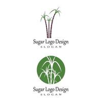 Sugar cane Logo Template vector symbol nature