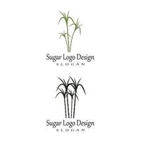 caña de azúcar, logotipo, plantilla, vector, símbolo, naturaleza vector