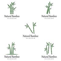 Bamboo Logo Template vector icon illustration design