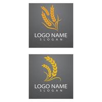 Agriculture wheat Logo Template vector icon design