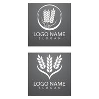 Agriculture wheat Logo Template vector icon design