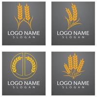 Agriculture wheat Logo Template vector icon design