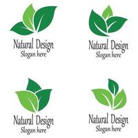 Leaf icon Vector Illustration design Logo template