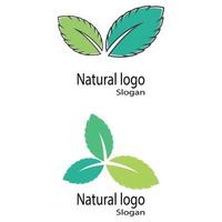 Mint leaves flat vector color icon template