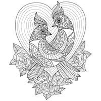 Bird couple hand drawn for adult coloring book vector