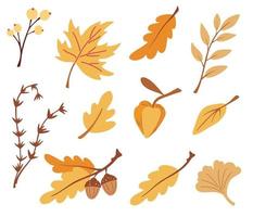 Set of autumn leaves branches and berries. Nature floral symbol collection. Oak, maple , birch, physalis. Perfect for seasonal holidays, greeting card. Vector flat illustration.