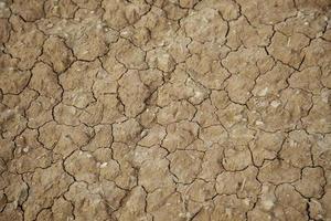 Dry soil in nature photo