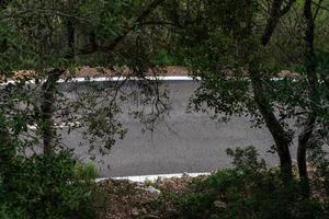 camino entre los árboles. ruta ciclista de mallorca foto