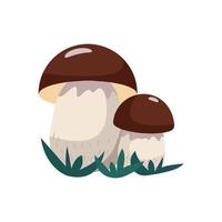 Seta boletus en estilo plano, ilustración vectorial, aislar vector