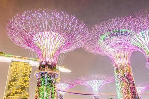 Supertree Grove en Singapur. foto