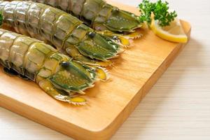 Fresh mantis shrimp with lemon on a board photo