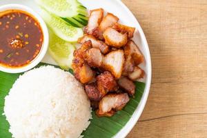 Fried belly pork with rice with spicy sauce in Asian style photo