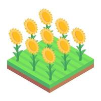 Sun Flowers Garden vector