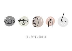 Hand drawn simple icons representing the five senses. Hand drawn doodles. vector