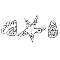 Doodle of marine starfish and seashells vector