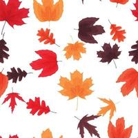 Autumn Natural Leaves Seamless Pattern Background. Vector Illustration