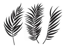 Beautifil Palm Tree Leaf Silhouette Background Vector Illustration