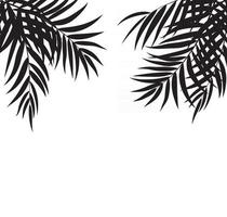 Beautifil Palm Tree Leaf Silhouette Background Vector Illustration