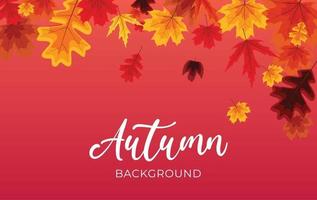 Autumn background with falling leaves. Vector Illustration