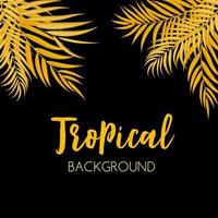 Beautifil Palm Tree Leaf Tropical Silhouette Background Vector Illustration