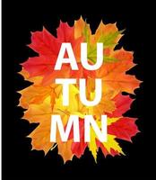 Shiny Autumn Natural Leaves Background. Vector Illustration