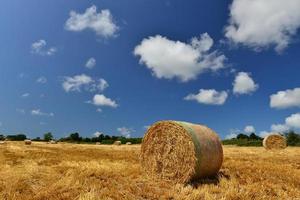 Straw bales Jersey UK late Summer landscape photo