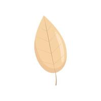 Yellow fallen leaf in flat style, autumn leaves, vector object in flat style. Isolate