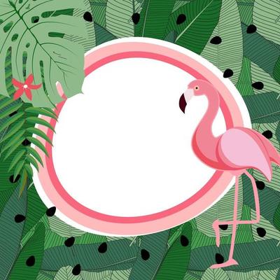Cute Summer Abstract Frame Background with Pink Flamingo Vector Illustration