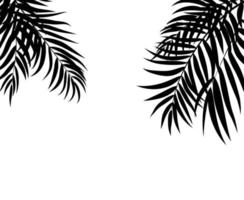 Palm Tree Leaf Silhouette Background Vector Illustration